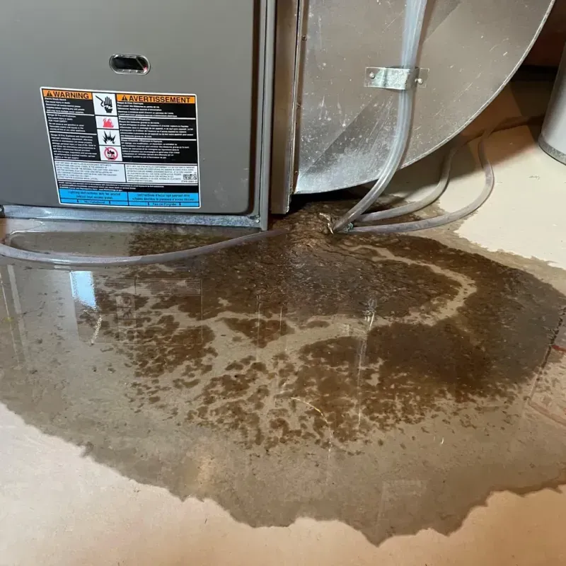 Appliance Leak Cleanup in Gaines County, TX